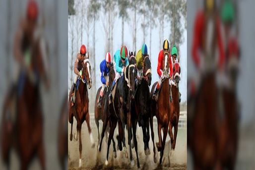 [query-result:espagetitle]